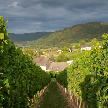 Casa Mosella Apartment Riol