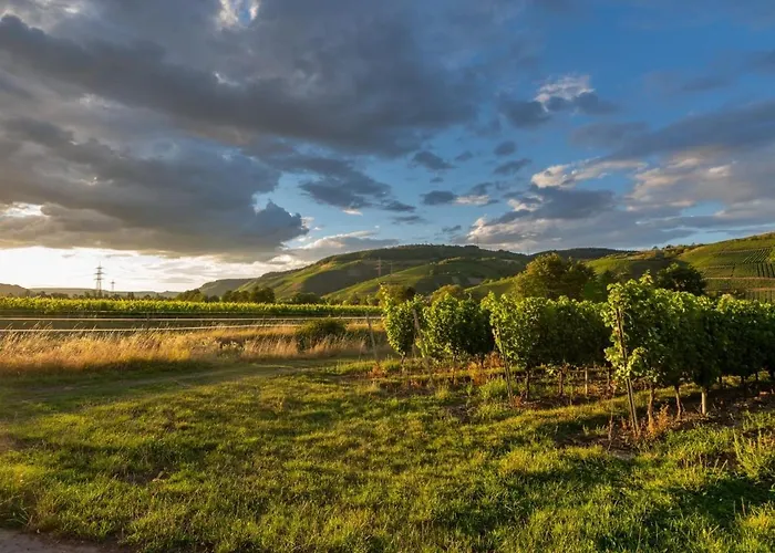 Casa Mosella דירה Riol
