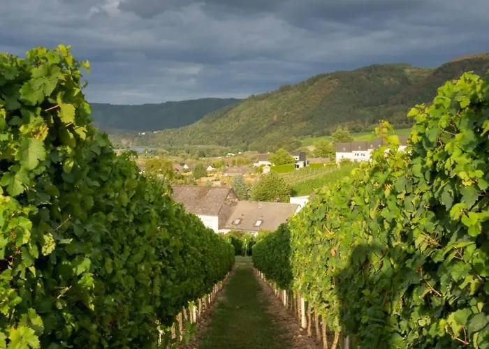 Casa Mosella דירה Riol